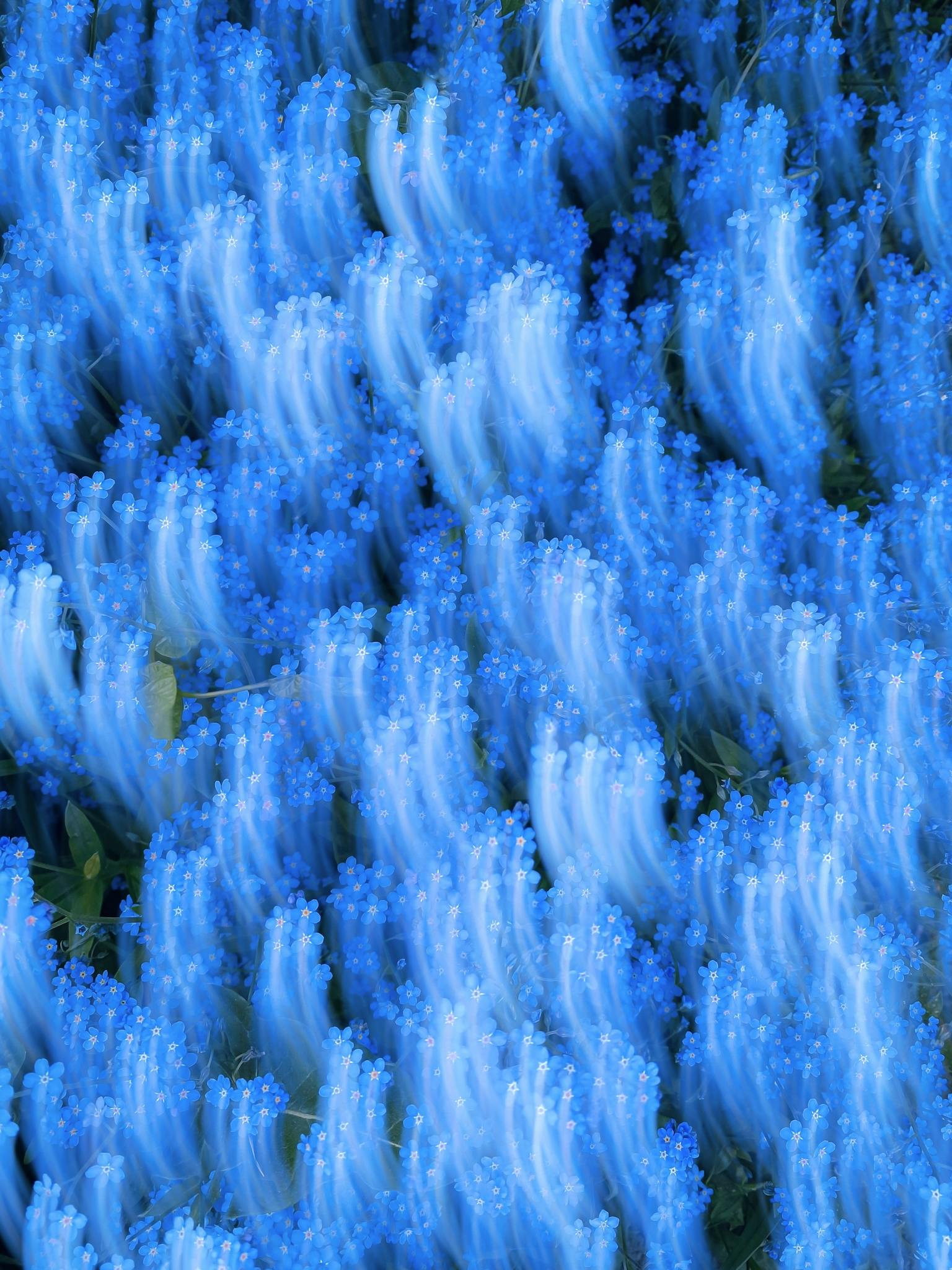 colorful abstract patterns of coral in a